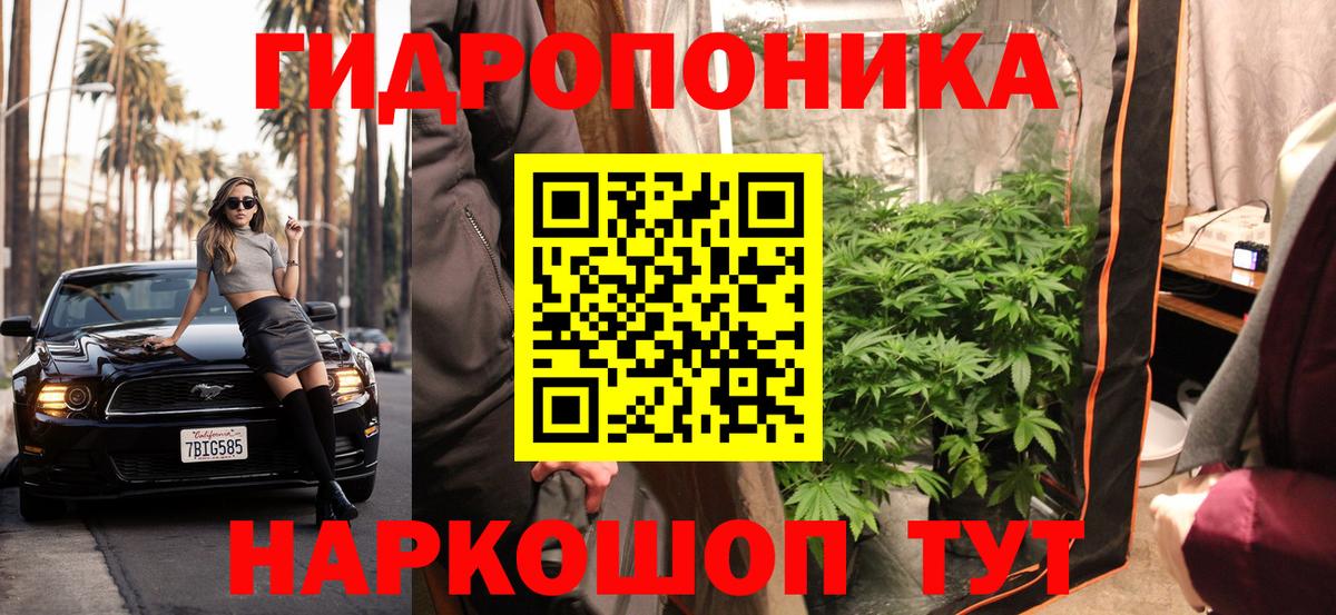 Каннабис OG Kush  Бошки Шишки планчик  Советск  Канабис конопля  Вход с VPN  Шишки марихуана VHQ 